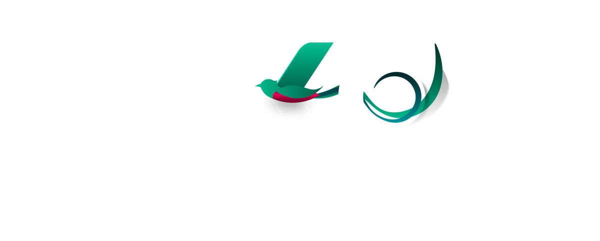Pakoa · La aventura comienza
